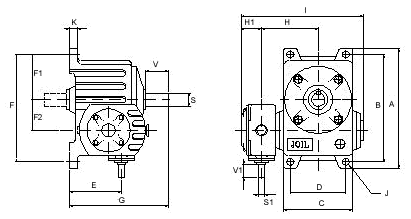 nv-type